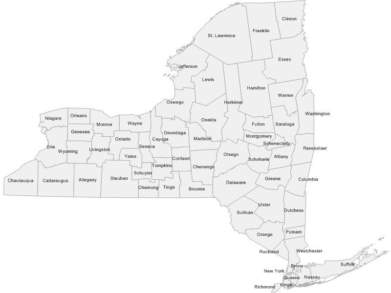 Ny County Profiles